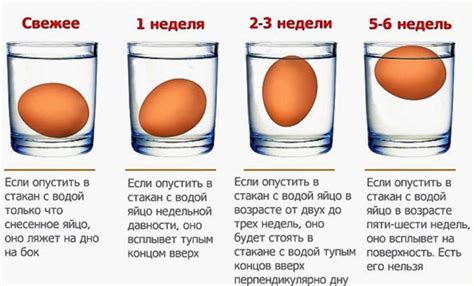 Охладите яйца в подготовленной воде