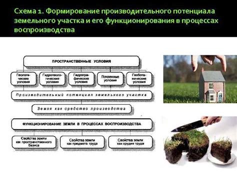 Оценка потенциала участка и его ресурсов