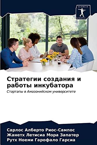 Оценка результатов и стратегии расширения инкубатора