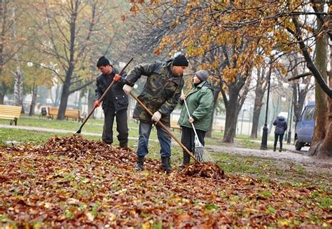 Очистка и избавление от листвы