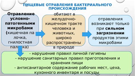 Патологическое нарушение бактериального баланса в интимных регионах: факторы возникновения и последствия