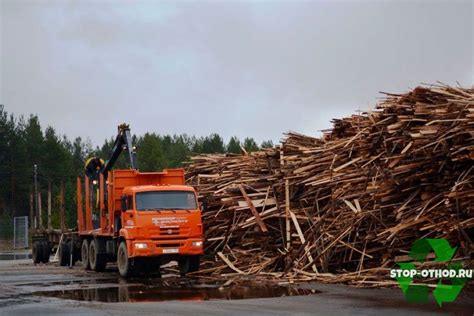 Переработка древесных материалов: ответственное обращение с деревянными отходами
