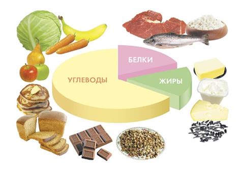 Питание, обогащенное важными питательными веществами