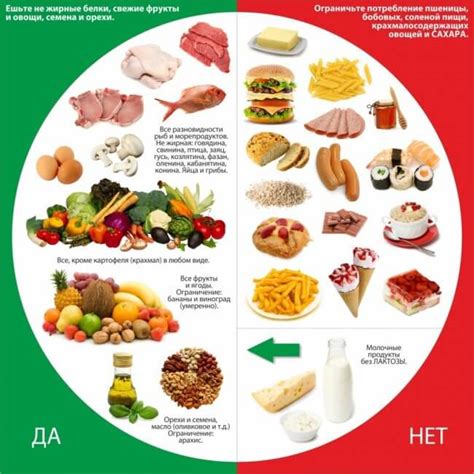 Питательная поддержка для огонька: важность правильного питания