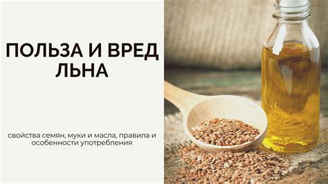 Питательные свойства и варианты употребления льняных семян