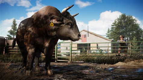 Погружение в онлайн-мир Far Cry 5: обзор возможностей многопользовательского режима
