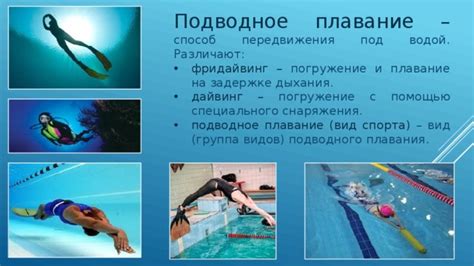 Погружение в разнообразие спорта и вдохновение профессионалами