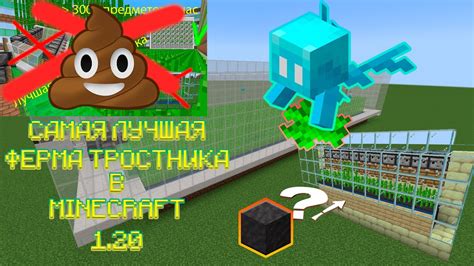 Подбор плодородной почвы для оптимального развития тростника в игре Minecraft