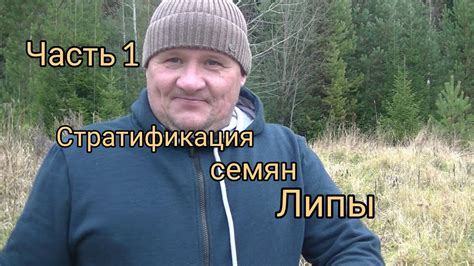 Подготовительные меры: создайте базу для своего собственного полноценного дерева