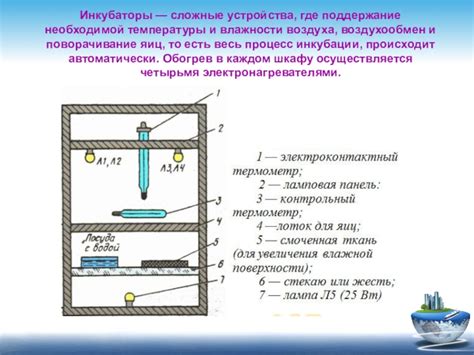 Поддержание необходимой влажности воздуха