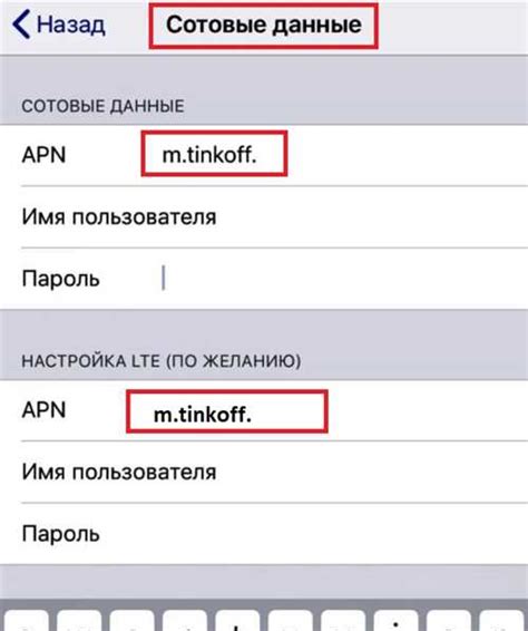 Подключение APN на iPhone: функциональность и оптимальная настройка