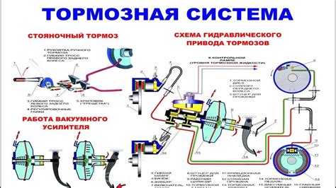 Подробный обзор несложной последовательности действий для проведения сброса системы автомобиля Киа без затруднений