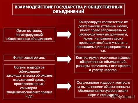 Познакомиться с деятельностью Общественных Организаций: важность и основные аспекты