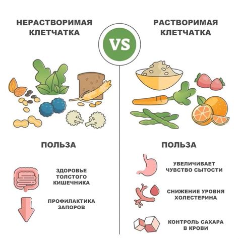 Полезные овощи и фрукты, обогащенные клетчаткой