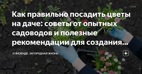 Полезные советы и рекомендации для успешного создания украшений
