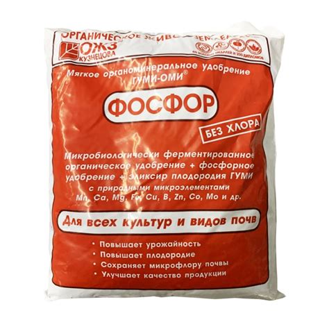 Полезные советы и секреты при использовании ацца в порошковой форме, которые полезно знать