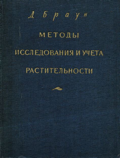 Поливание княжеской растительности: секреты и методы