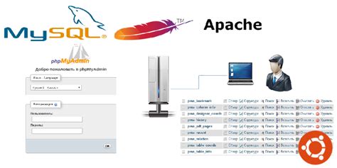 Получение доступа к phpMyAdmin через веб-браузер: простой путь для управления базами данных