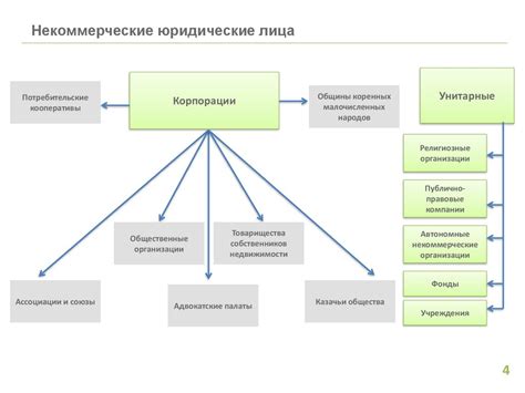 Понимание особенностей аудиторы Тик Тока