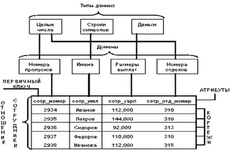 Понятие и применение символьного типа данных в базе данных