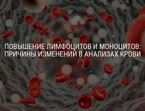 Последствия высокого содержания лимфоцитов и моноцитов в организме