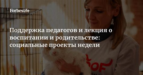 Последствия споров о родительстве: психологические, социальные и юридические аспекты