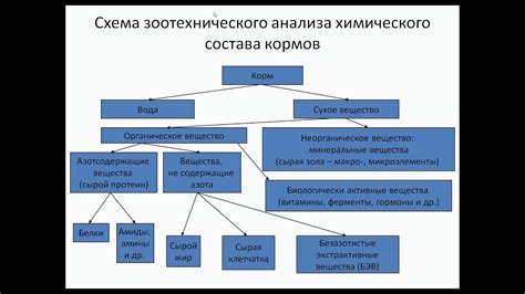 Потеря важных питательных и биологически активных веществ