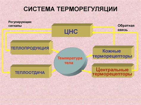 Потеря терморегуляции