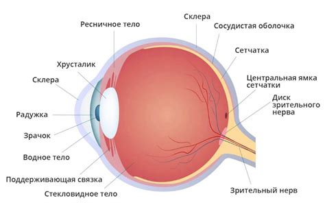 Почему возникают гнойники в области глаза и как они формируются?