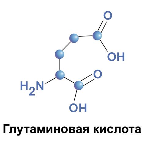 Почему глутаминовая кислота важна для детей?