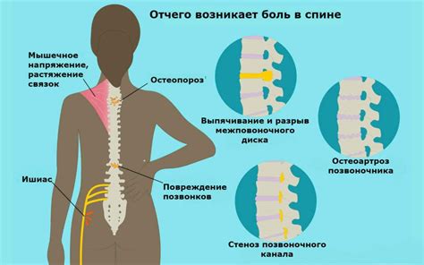 Почему усиливается зуд в спине в конце дня?