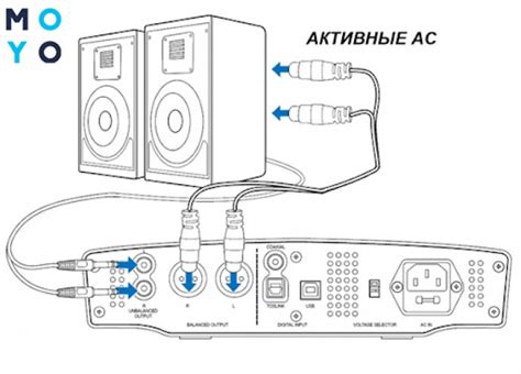 Правильное подключение акустической системы к источнику звука