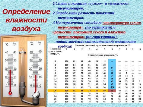 Правильный полив и оптимальная влажность воздуха