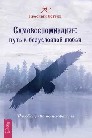 Практическое руководство: как развить способность к безусловной любви?