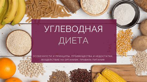 Преимущества вегетарианского рецепта: благотворное воздействие на организм и экологию