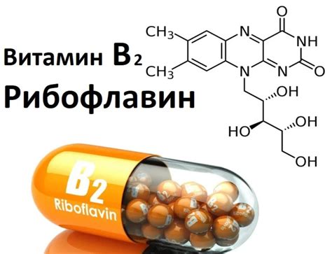 Преимущества витамина В2 для поддержания иммунитета