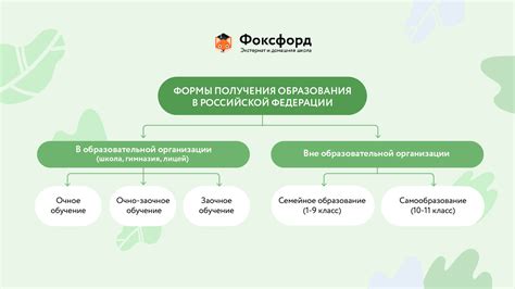 Преимущества в образовании: условия для получения обучения по сниженным ценам и возможность для получения финансовой поддержки