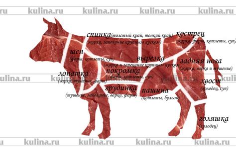 Преимущества и особенности говядины второй категории