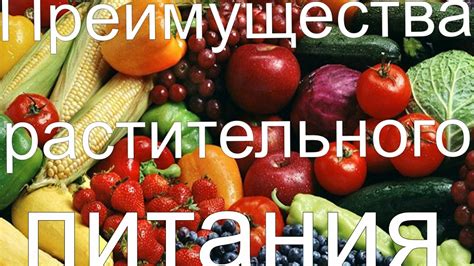 Преимущества растительного питания: вкусно, полезно и дружественно природе