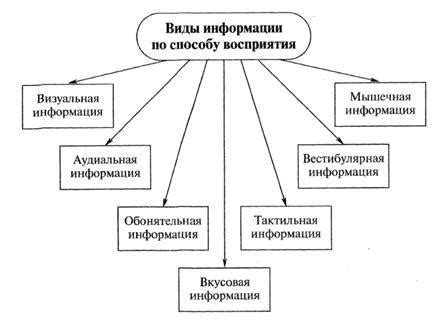 Привлекательный внешний вид текста для повышения восприятия информации