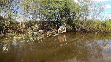 Признаки необходимости очистки пруда от водорослей и тины