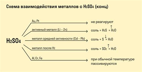 Примеры врожденных реакций: отражение без всяких сомнений