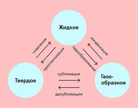 Примеры гомо и гетерозиготных состояний