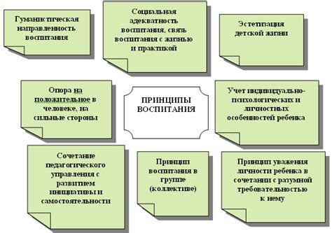 Принципы воспитания питомца: ключевые аспекты обучения и развития