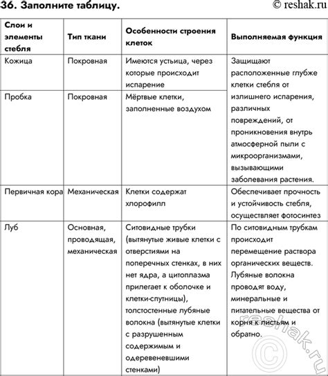 Принципы и особенности теста на сопоставление