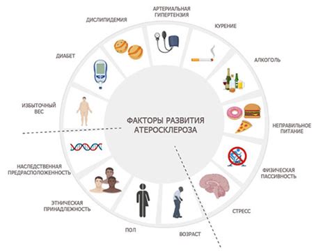 Принципы расчета показателя, характеризующего риск атеросклероза, и его нормативные значения