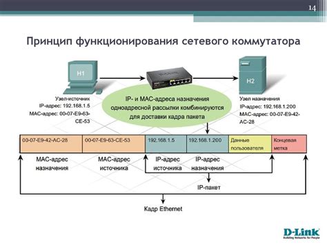 Принципы функционирования коммутатора с задержкой в игре "Тарков": изучаем важные аспекты