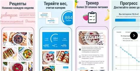 Природа и красота: эффективные методы регулирования питания для достижения здорового состояния кожи