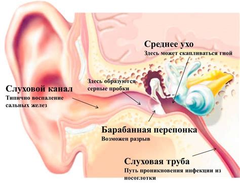 Причины глухого треска в ухе