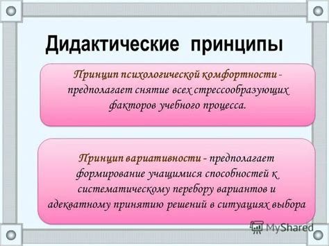 Проблемы и перспективы развития дидактики в современной педагогической науке